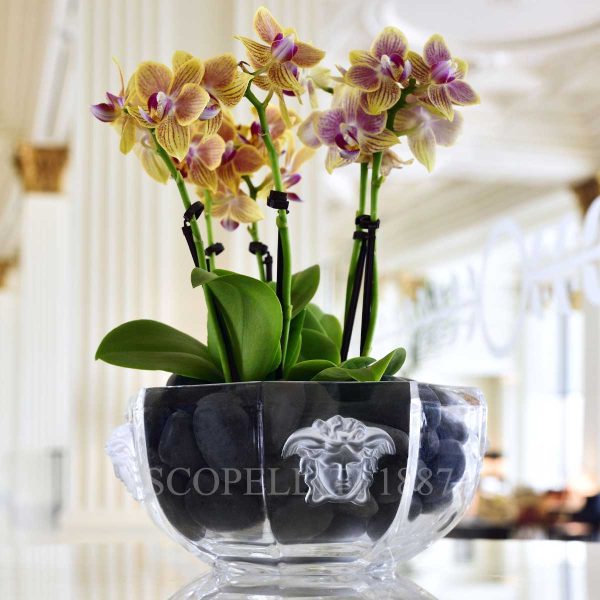 versace medusa lumiere bowl