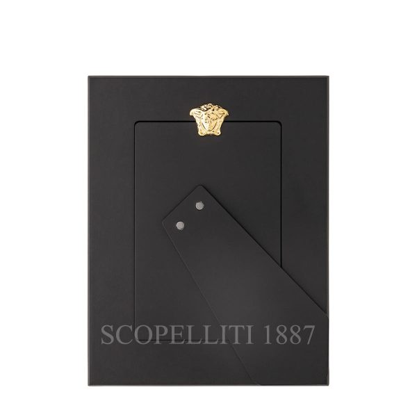 versace rosenthal silver gold frame