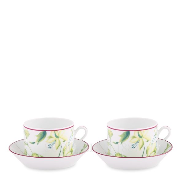 ginori 1735 florenza acanto green tea cups set