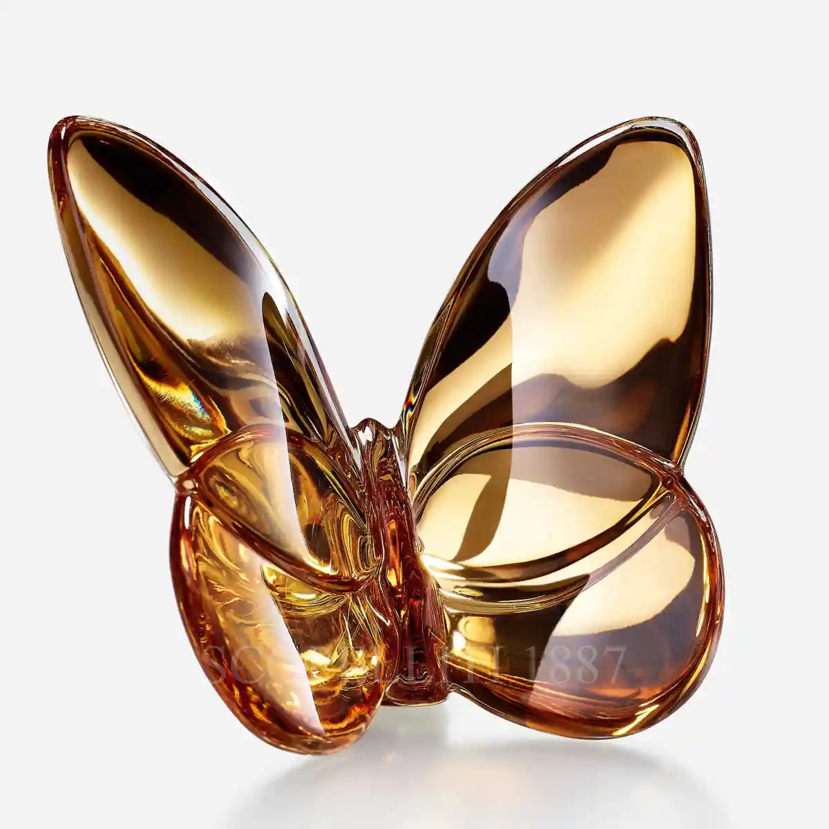 baccarat lucky butterfly gold