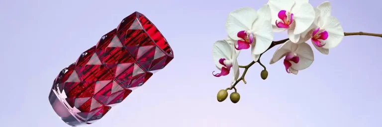 crystal vase baccarat red