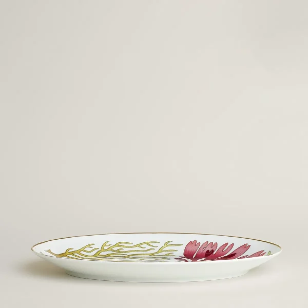hermès natures marines small oval platter