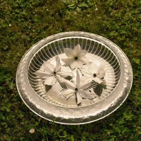 lalique marguerites bowl