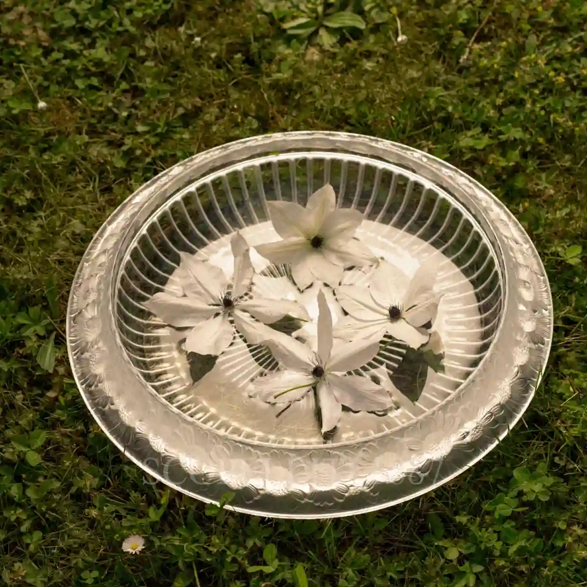 lalique marguerites bowl