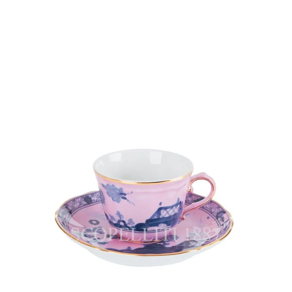 ginori 1735 oriente italiano azalea coffee cup and saucer