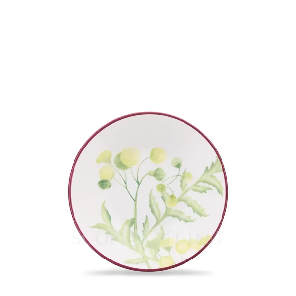 ginori florenza coffee saucer acanthus green