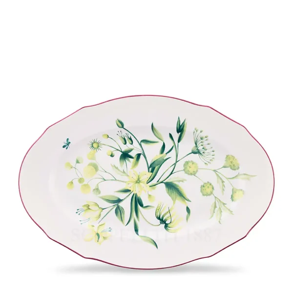 ginori 1735 florenza acanto green oval platter
