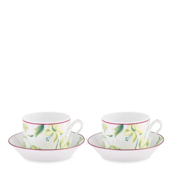 ginori 1735 florenza acanto green tea cups set