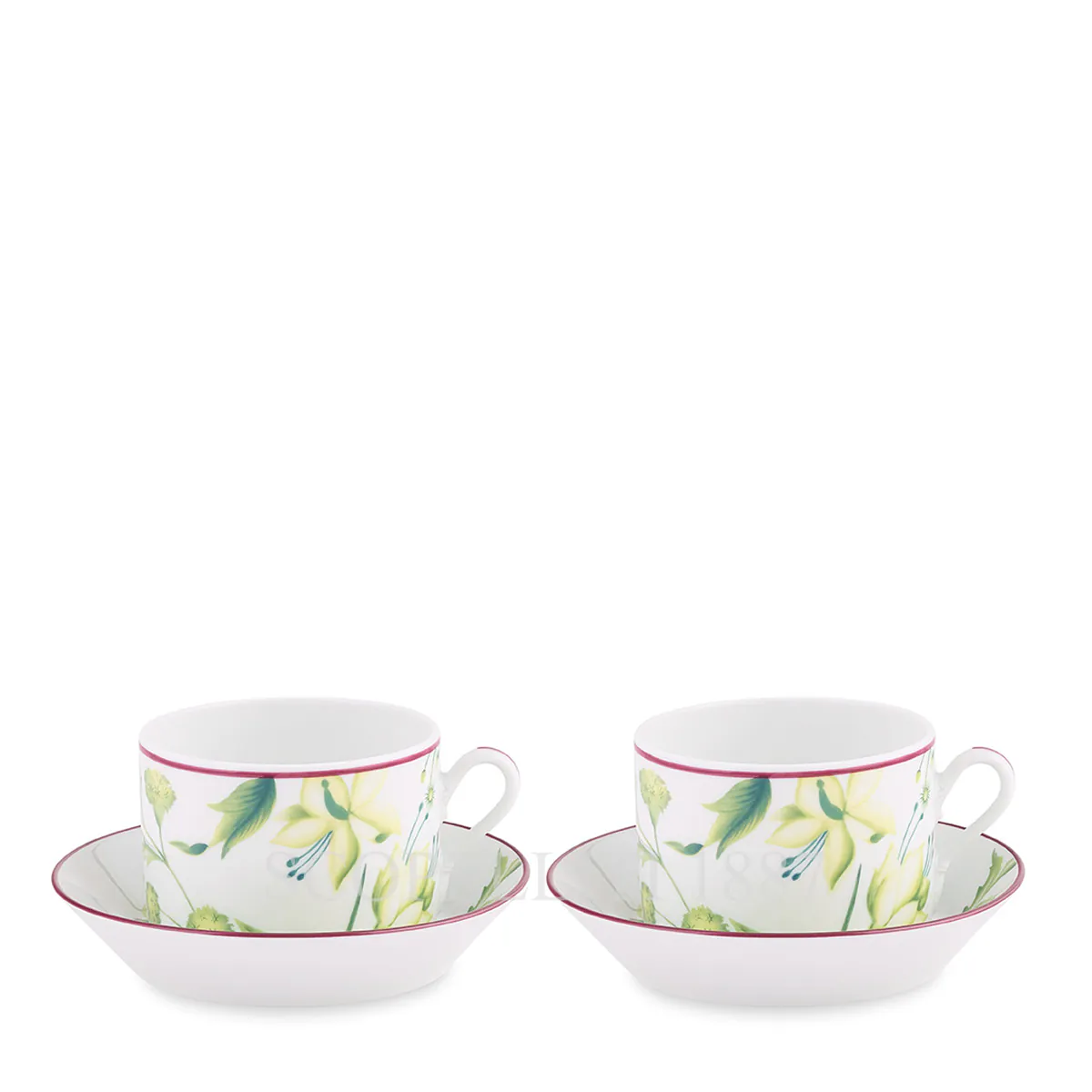 ginori 1735 florenza acanto green tea cups set