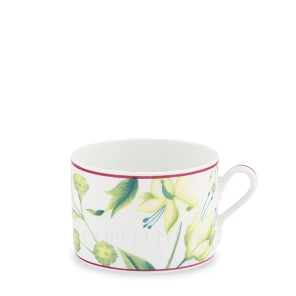 ginori florenza tea cup acanthus green