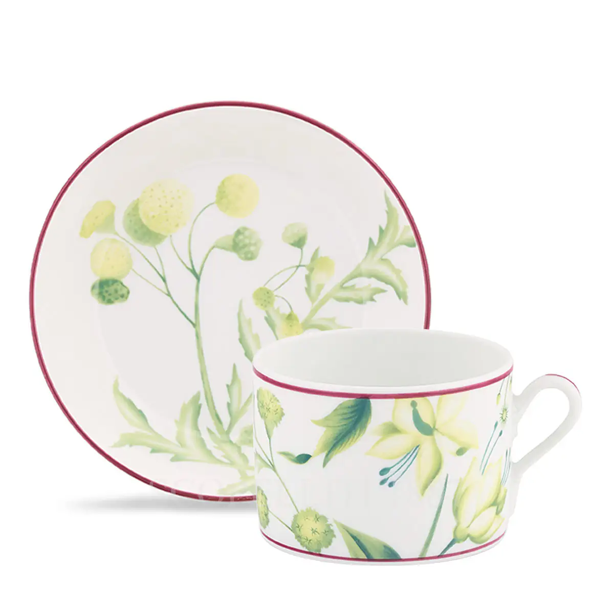 ginori 1735 florenza acanto green tea cup & saucer