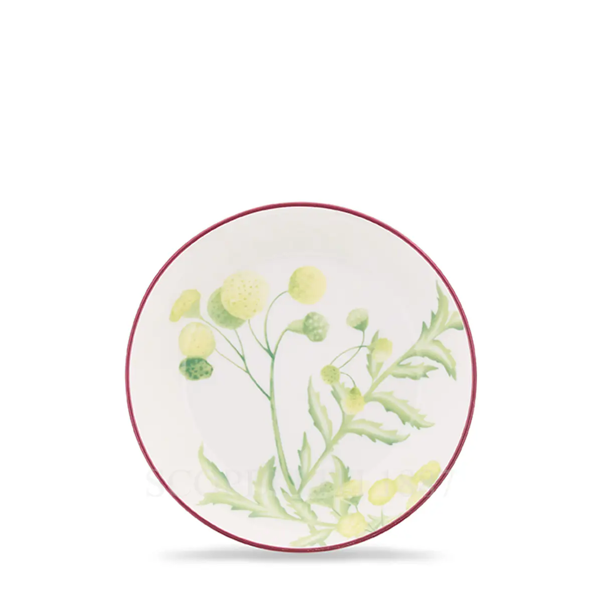 ginori florenza tea saucer acanthus green