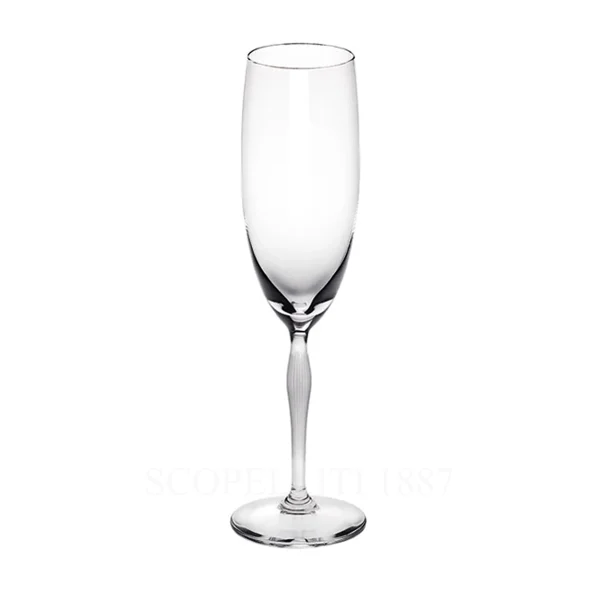 lalique 100 points champagne glass