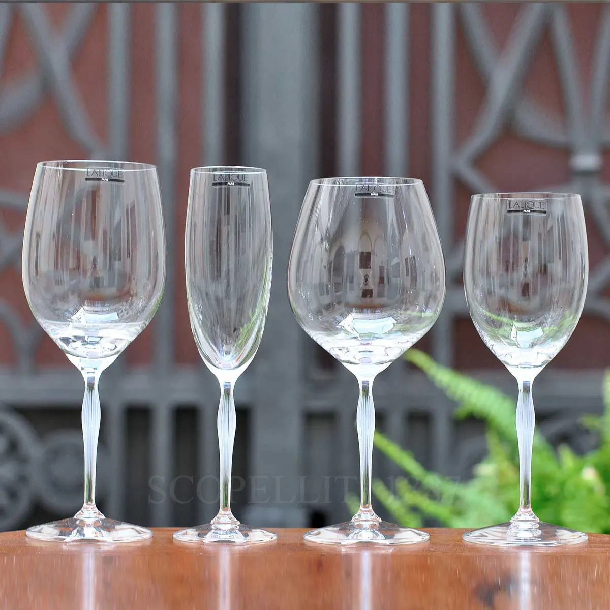 lalique 100 points glasses