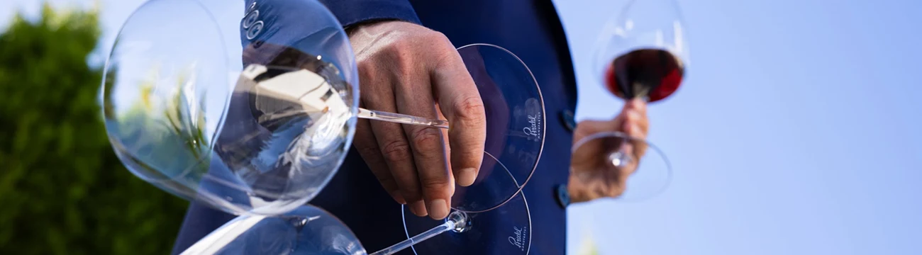 riedel nick and nora cocktail glass