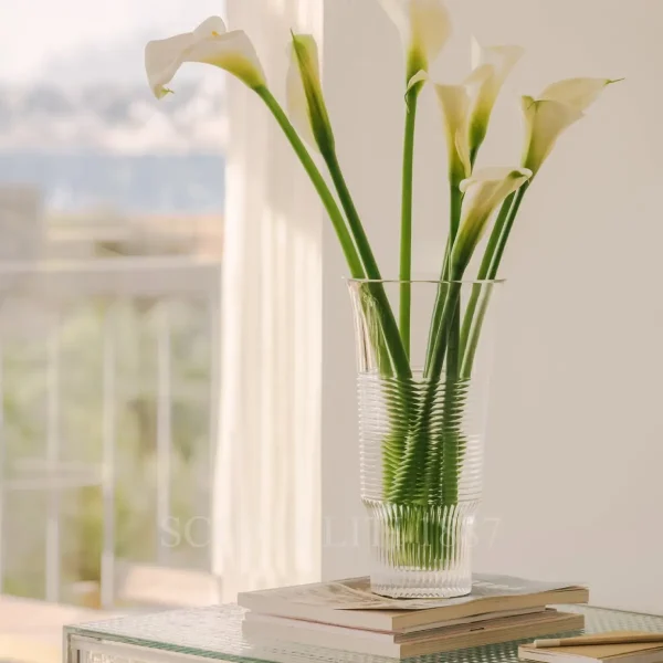 saint louis cadence crystal vase