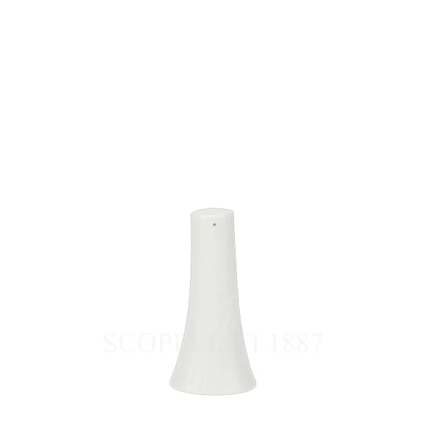 wedgwood nature salt pot fine bone china