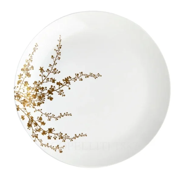 wedgwood vera wang jardin dinner plate